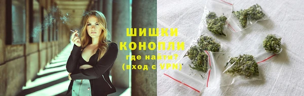 стаф Няндома