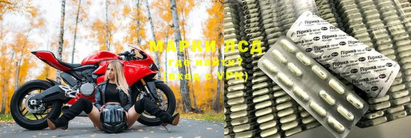 дживик Новодвинск