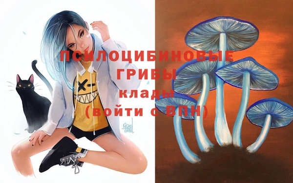 трава Нягань