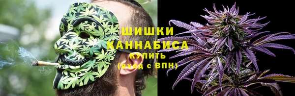 стаф Няндома
