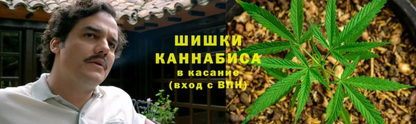 МДПВ Нязепетровск