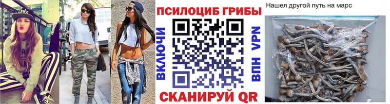 Галлюциногенные грибы GOLDEN TEACHER  цена наркотик  Партизанск 