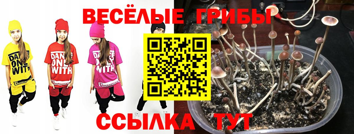 Партизанск  Галлюциногенные грибы мухоморы  Вход с VPN  Галлюциногенные грибы MAGIC MUSHROOMS 